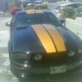 mustang-3 | Comentarios: 250